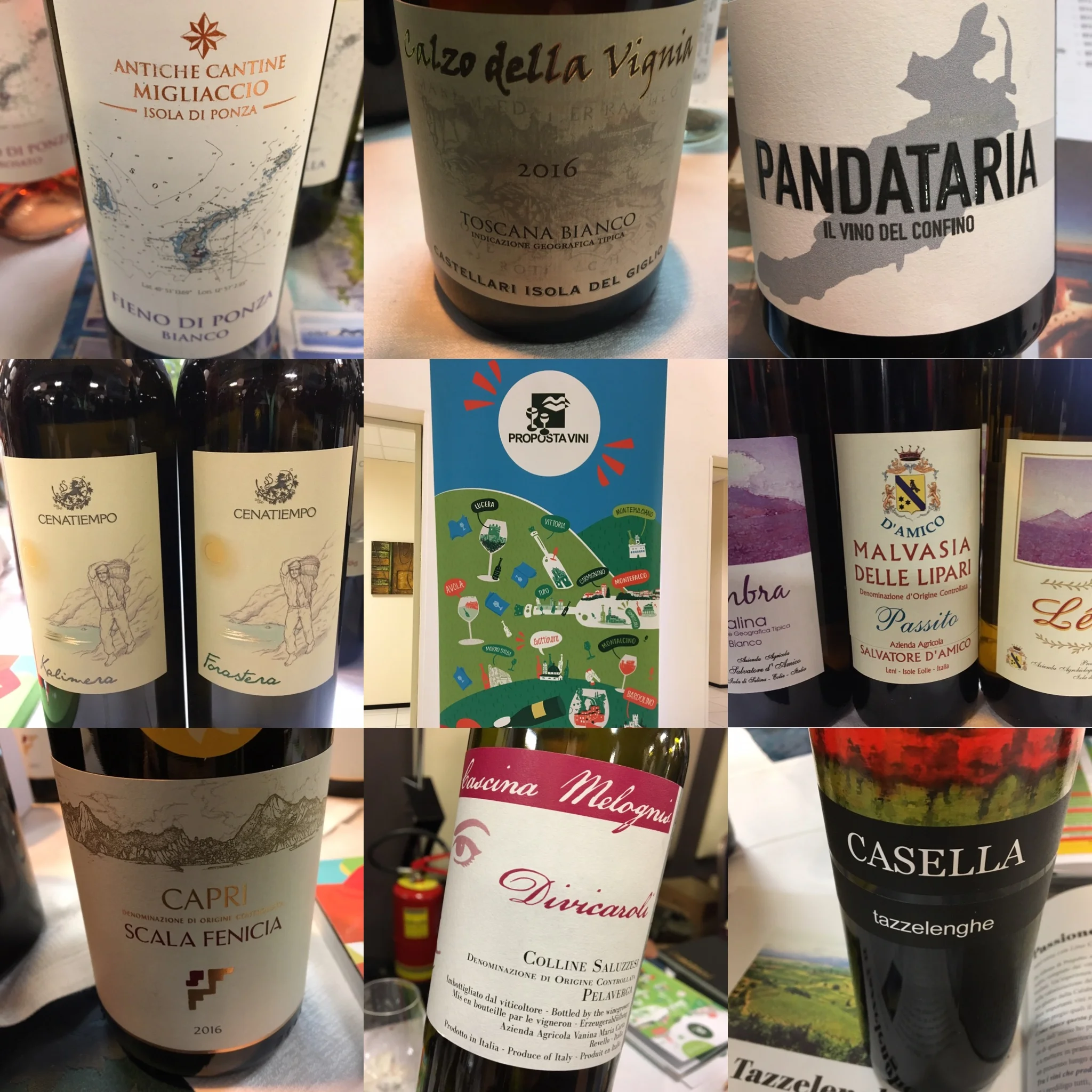 Il Catalogo 2019 di Proposta vini: un viaggio appassionato tra vini, tradizioni e territori