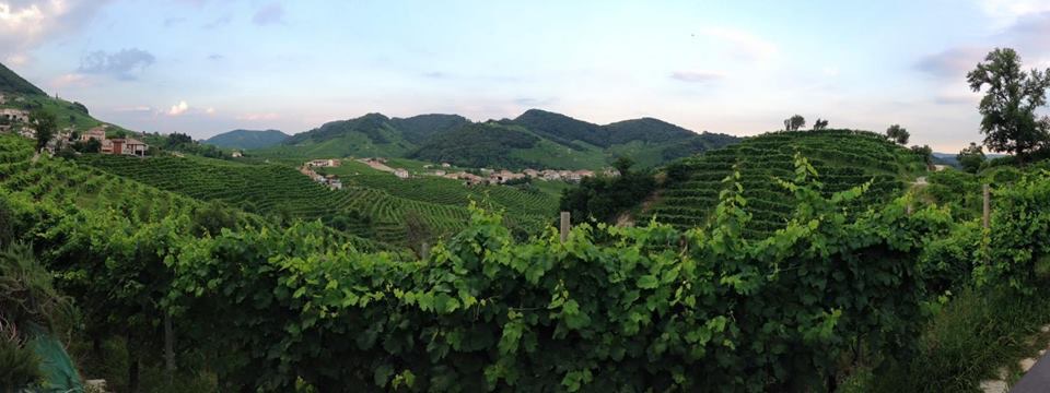 Le colline del Prosecco di Conegliano e Valdobbiadene Patrimonio dell’Umanità Unesco