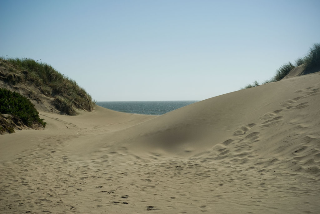 Outerlands #8 (Sand Dunes) 17” x 12” 2012