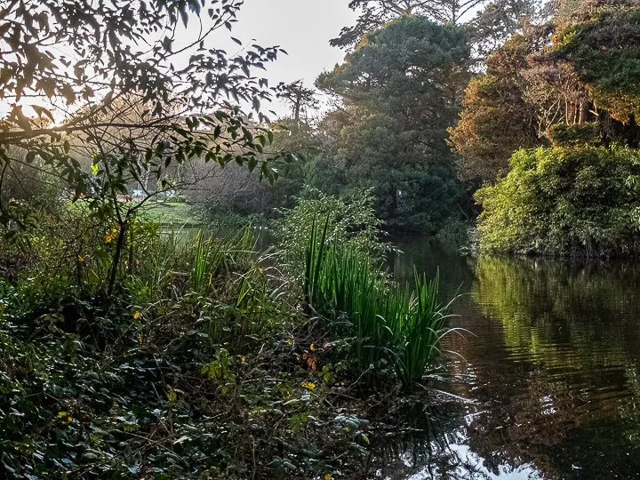 Introduction To Photography Workshop