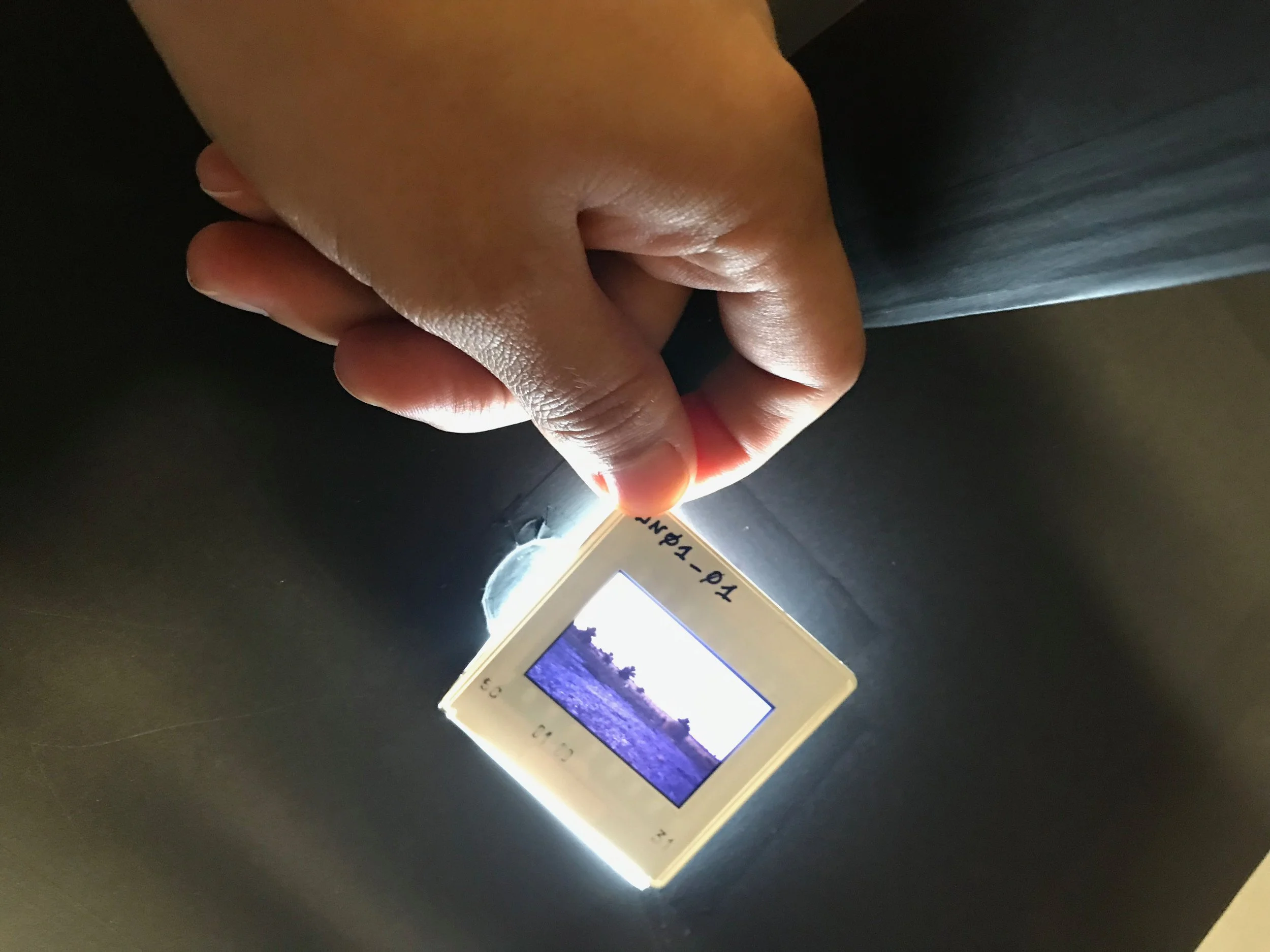 Scanning and Digitizing Your Negatives and Slides