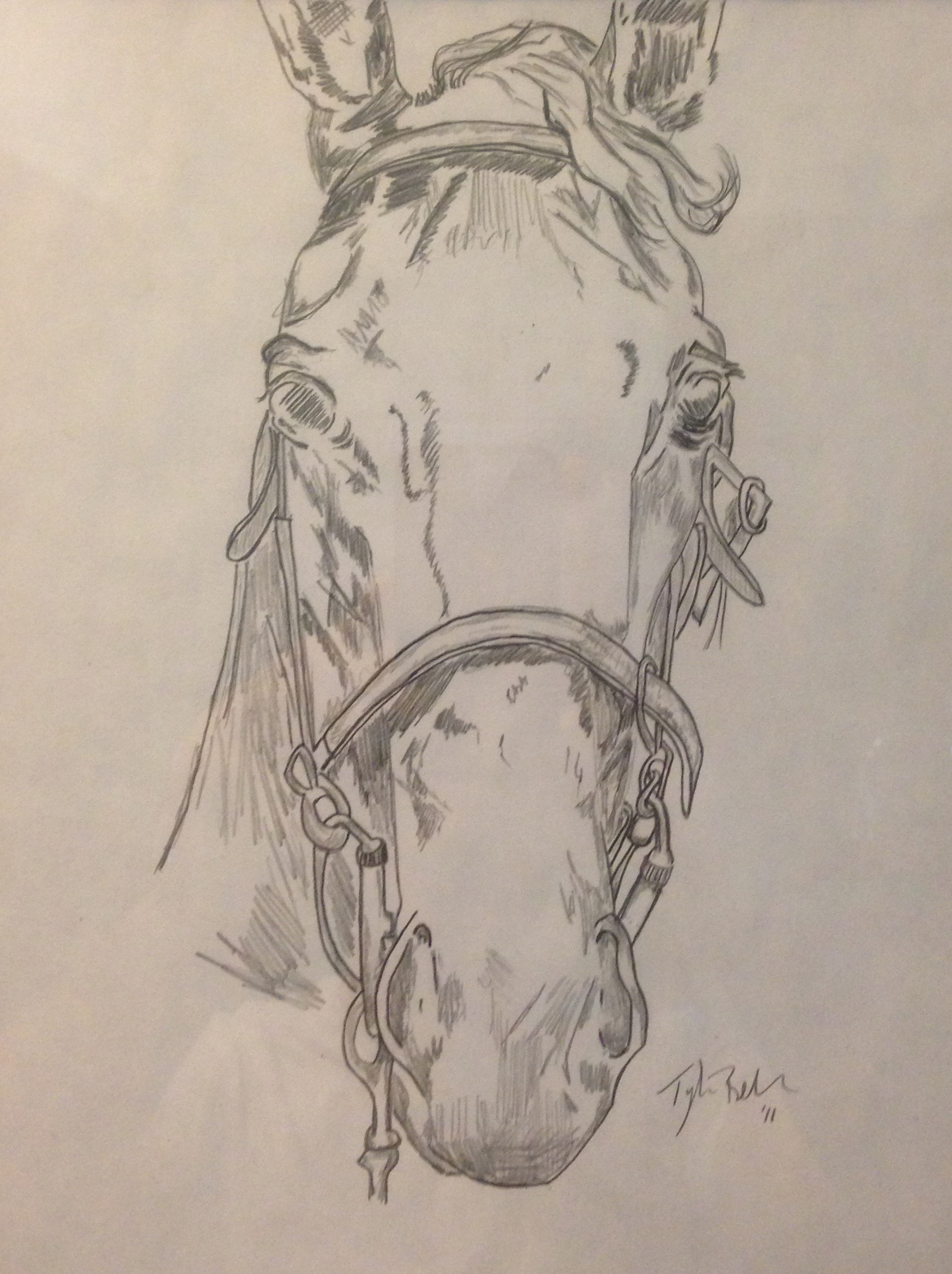 Horse
