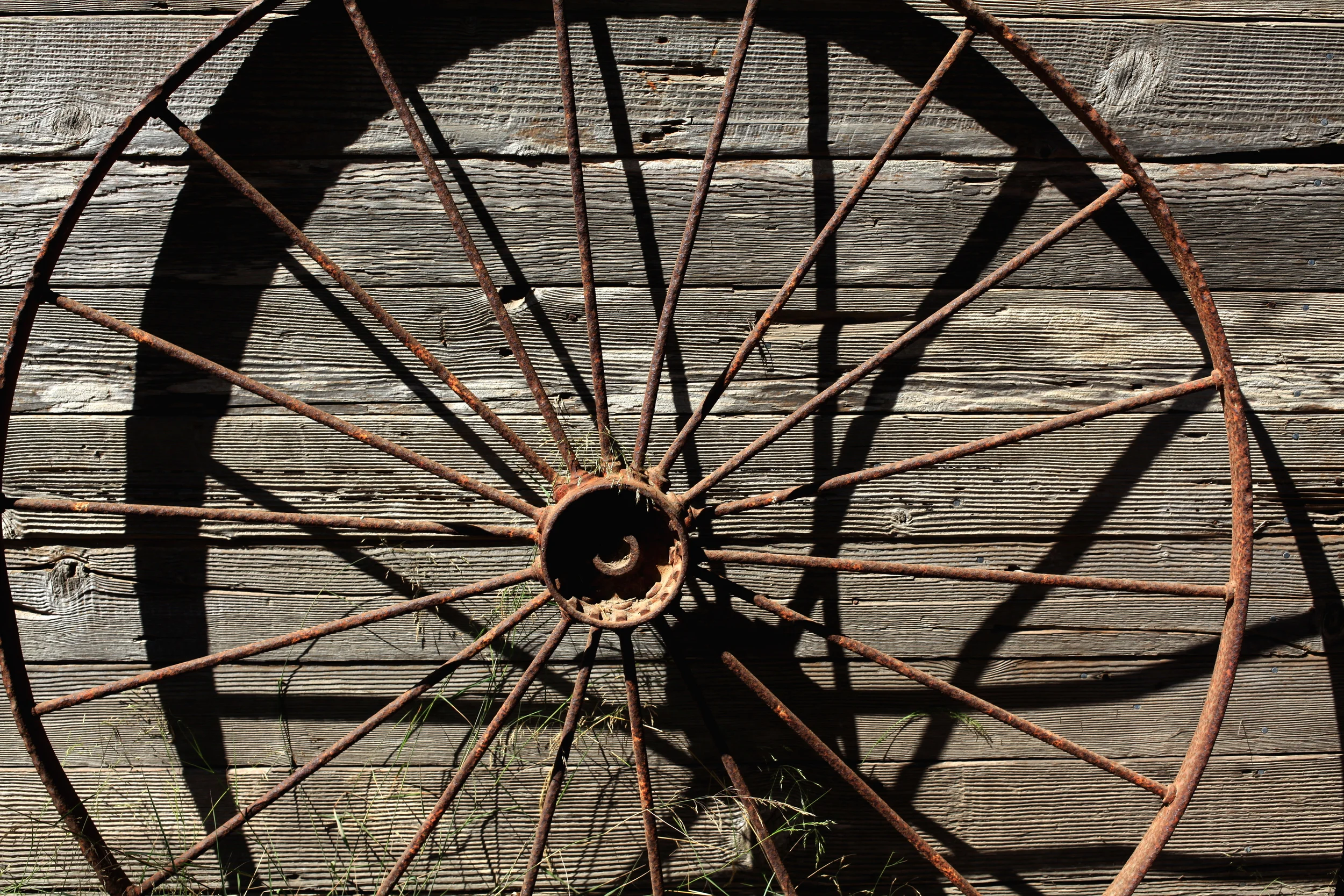 Wheel ($100)