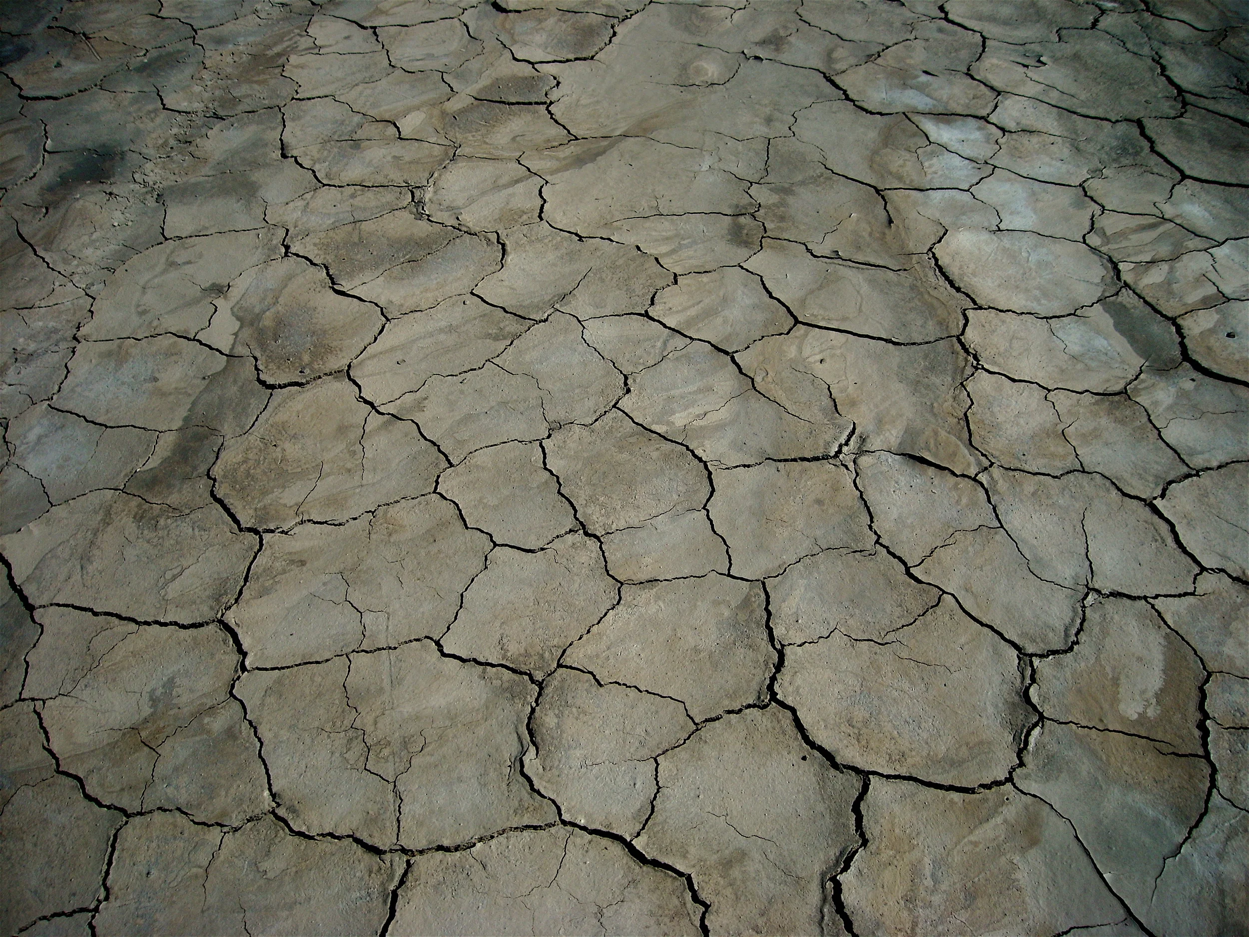 El Mirage ($40)