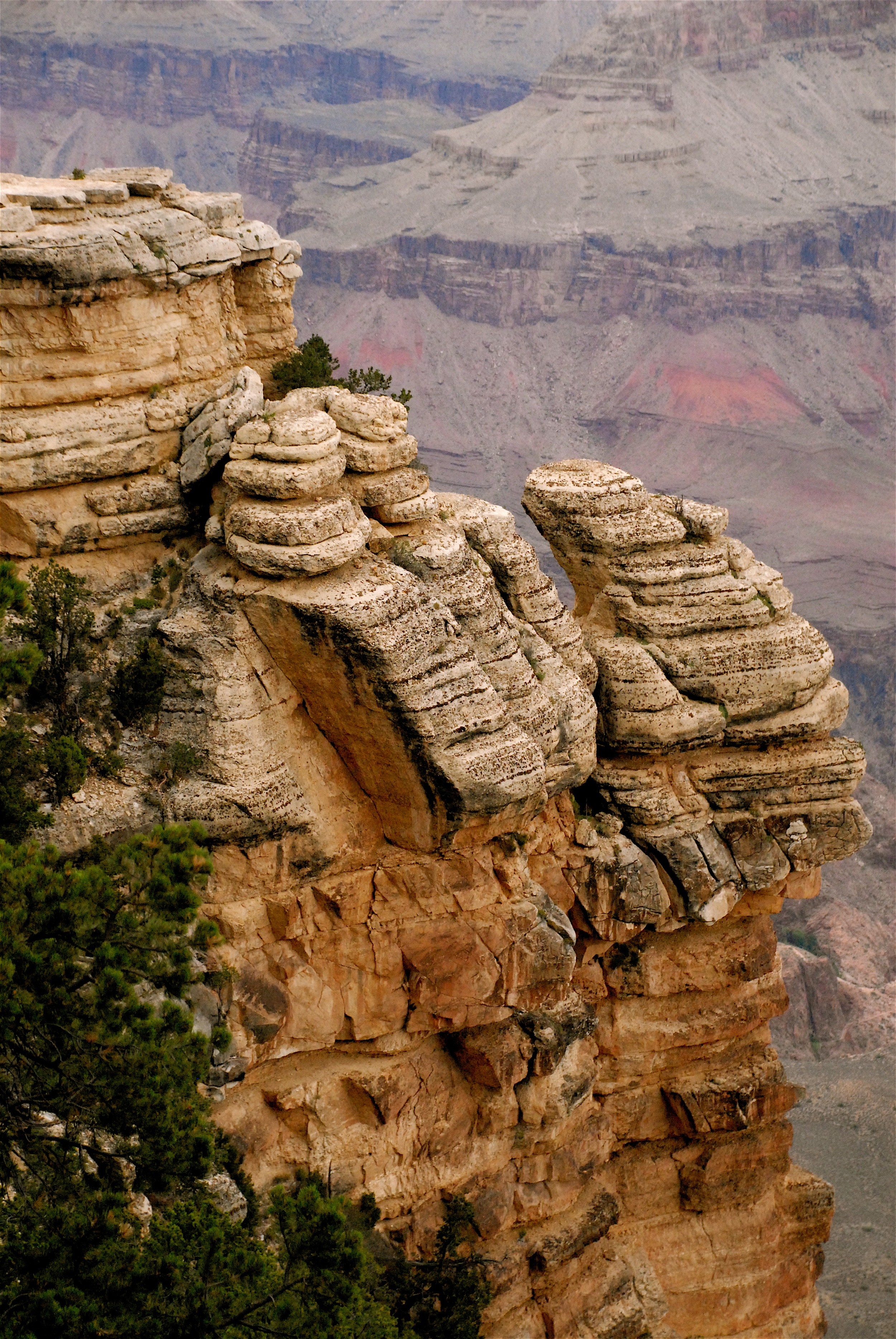Grand Canyon ($40)