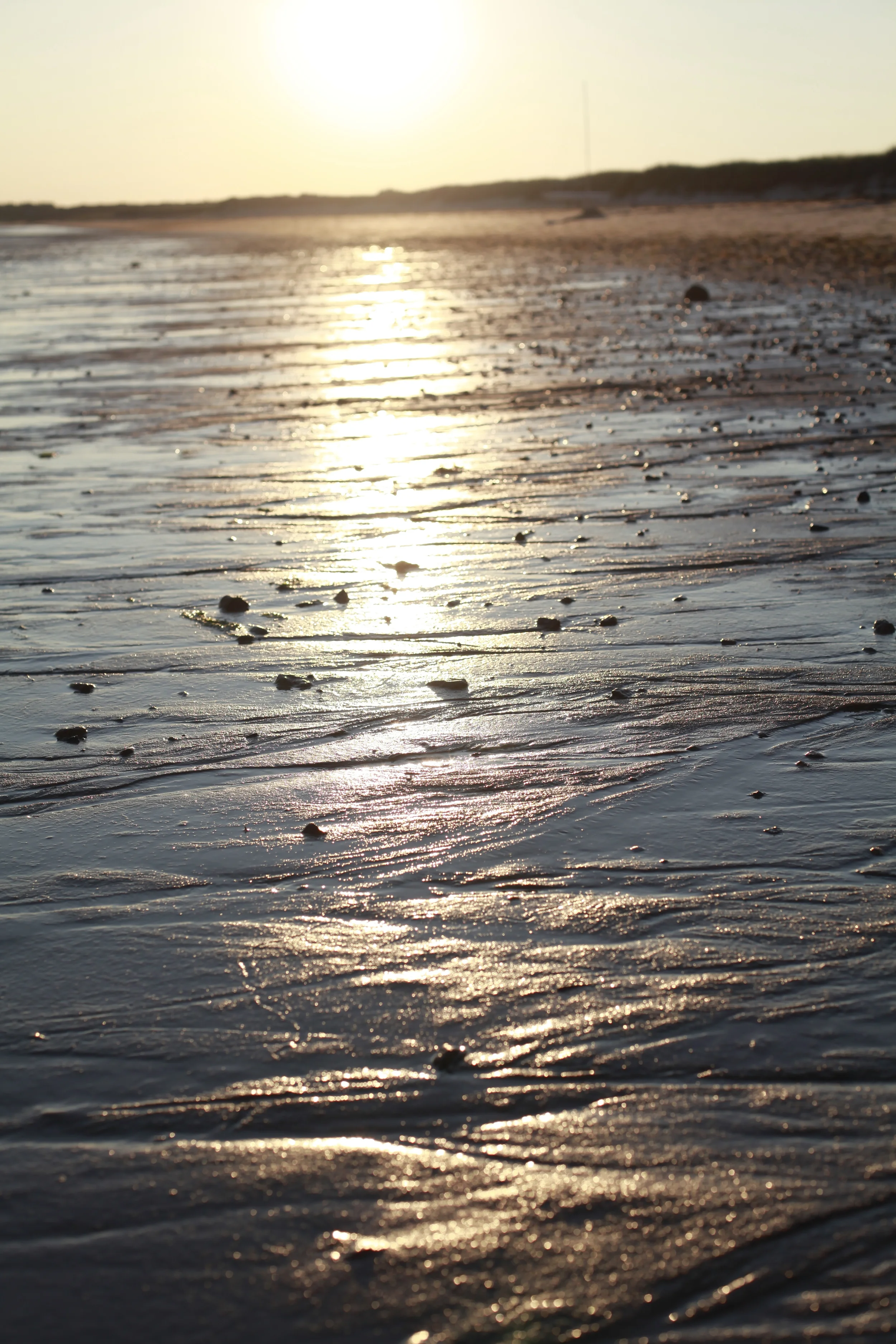 Morning Tide ($50)