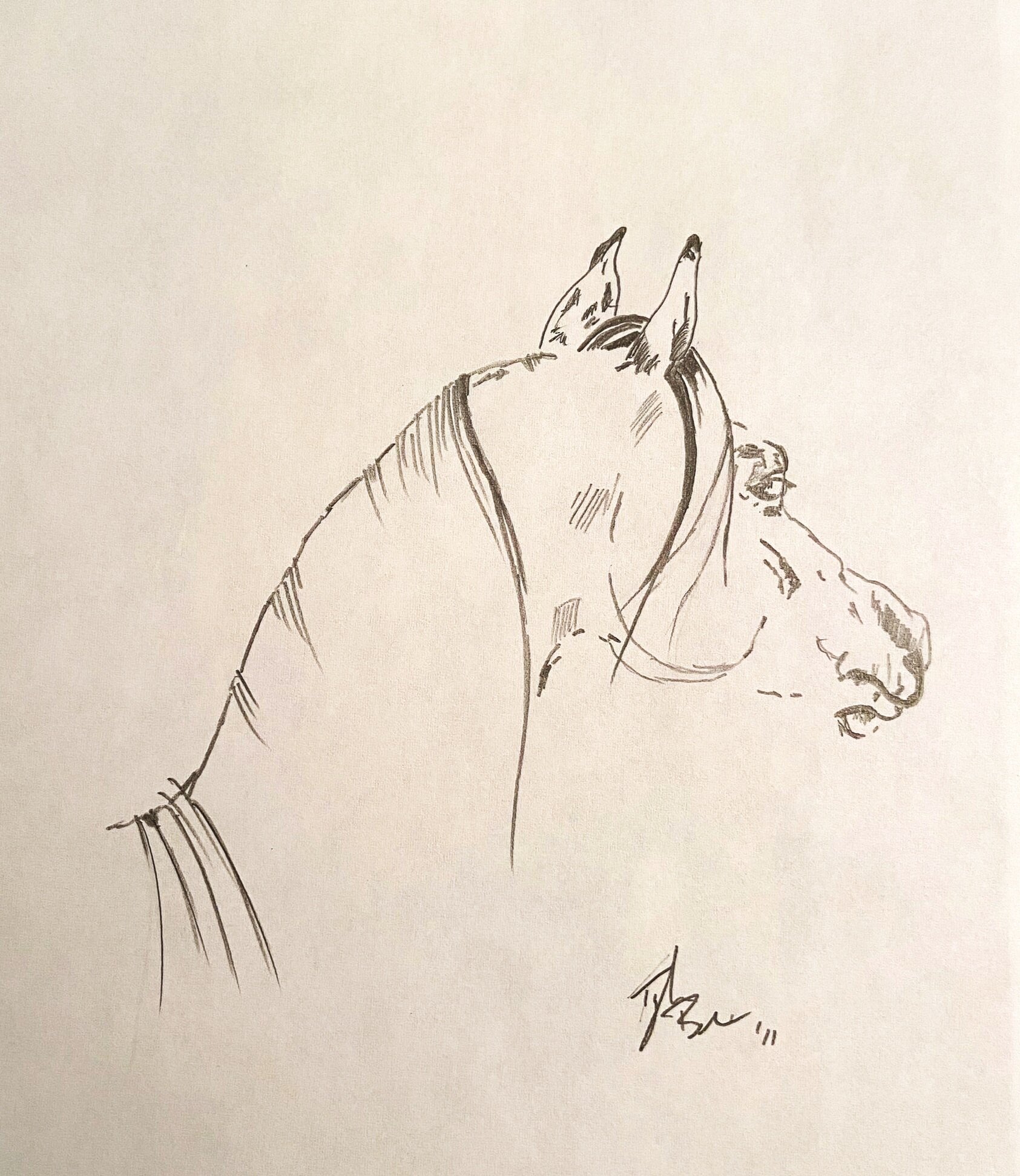 Arabian