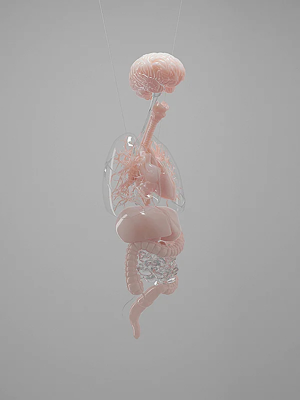 CGI Organ Installation by CG TOKI