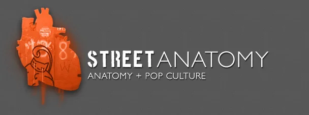 StreetAnatomy.jpg