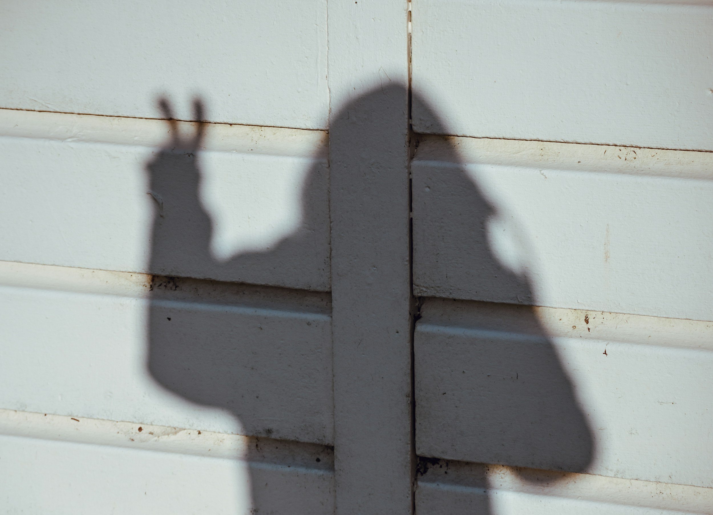 Brianne's photo coming soon