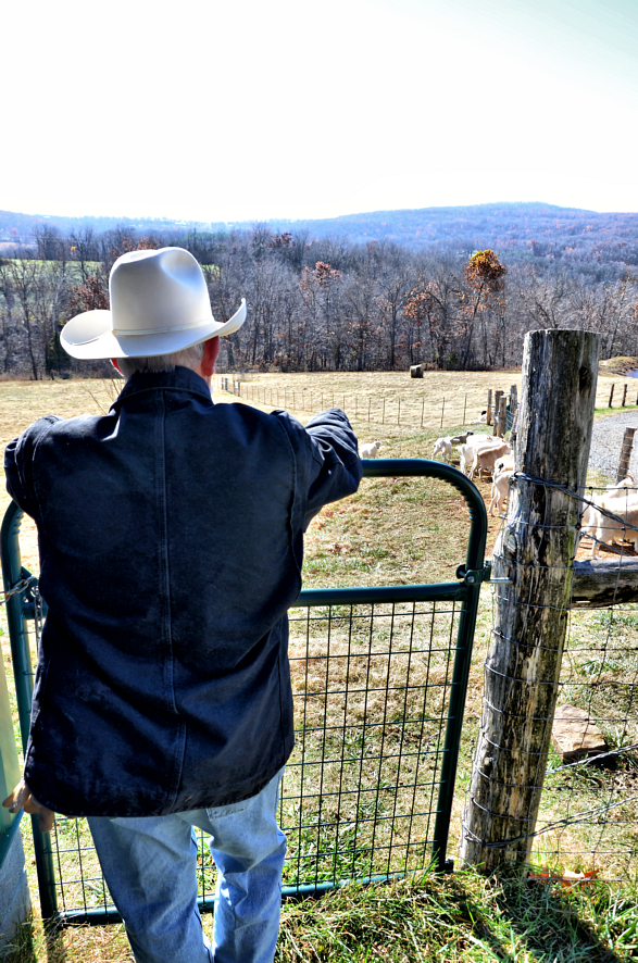 A farmer surveys his land in rural Arkansas