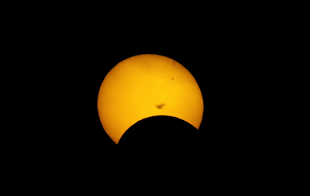 Solar Eclipse with Bird