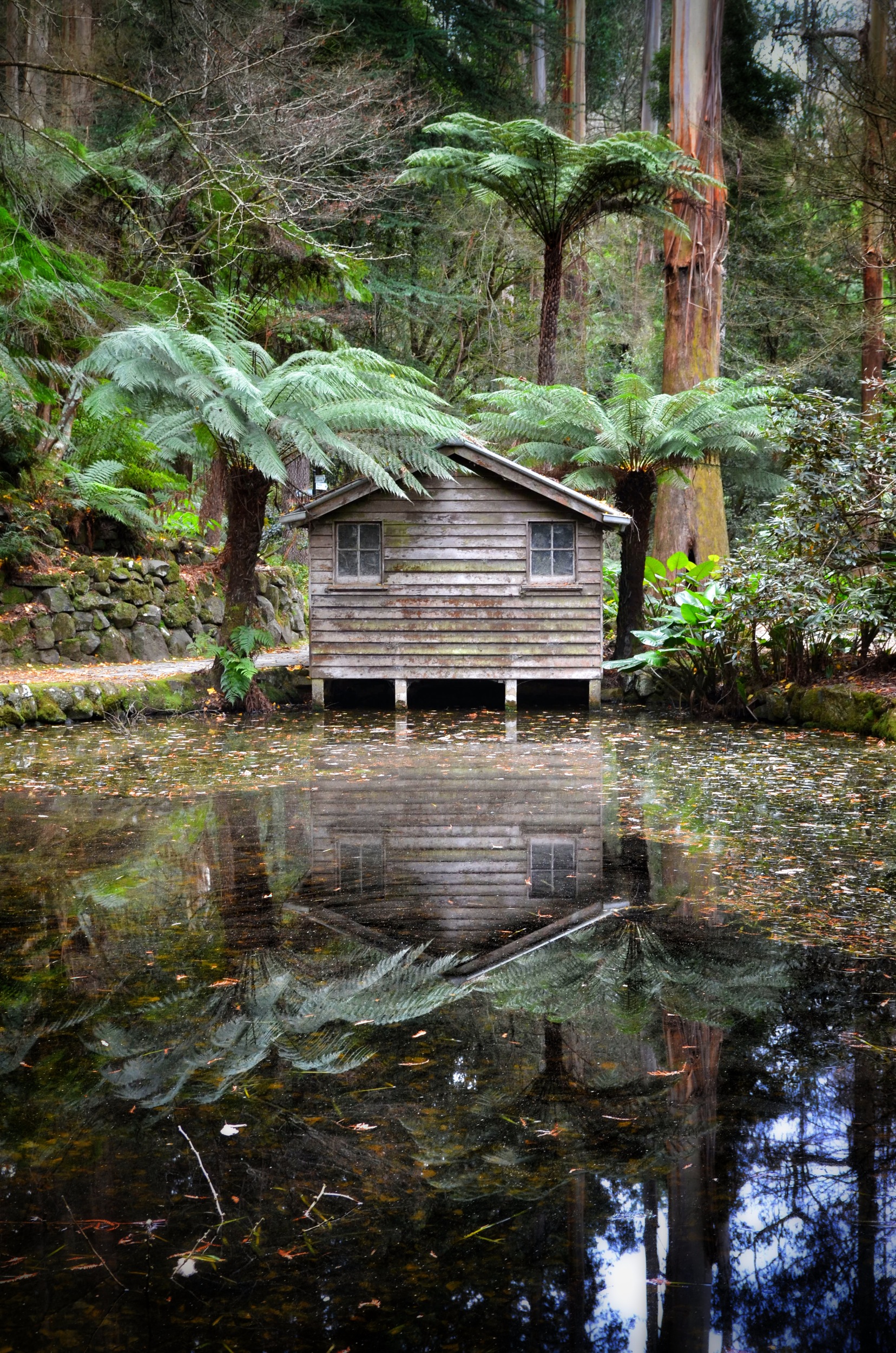 Rainforest Hut