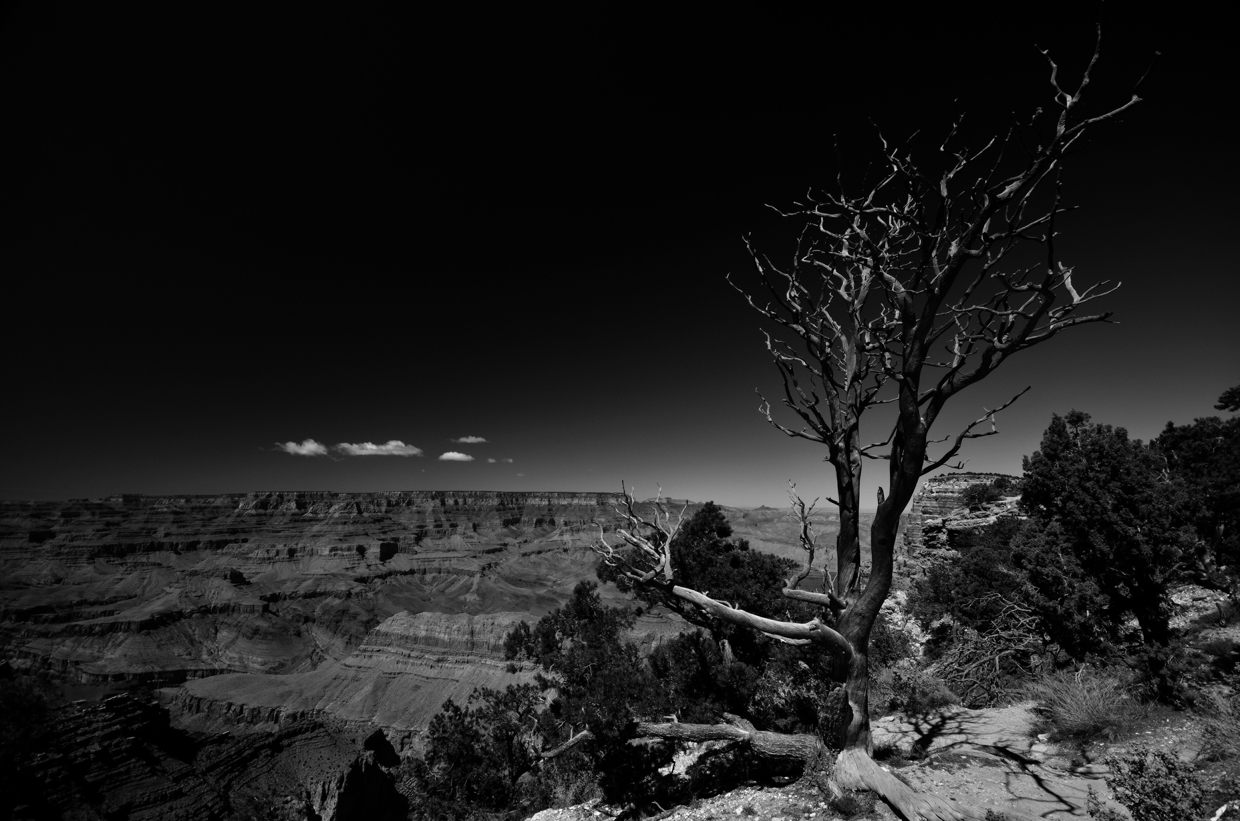 Grand Canyon (B&W)