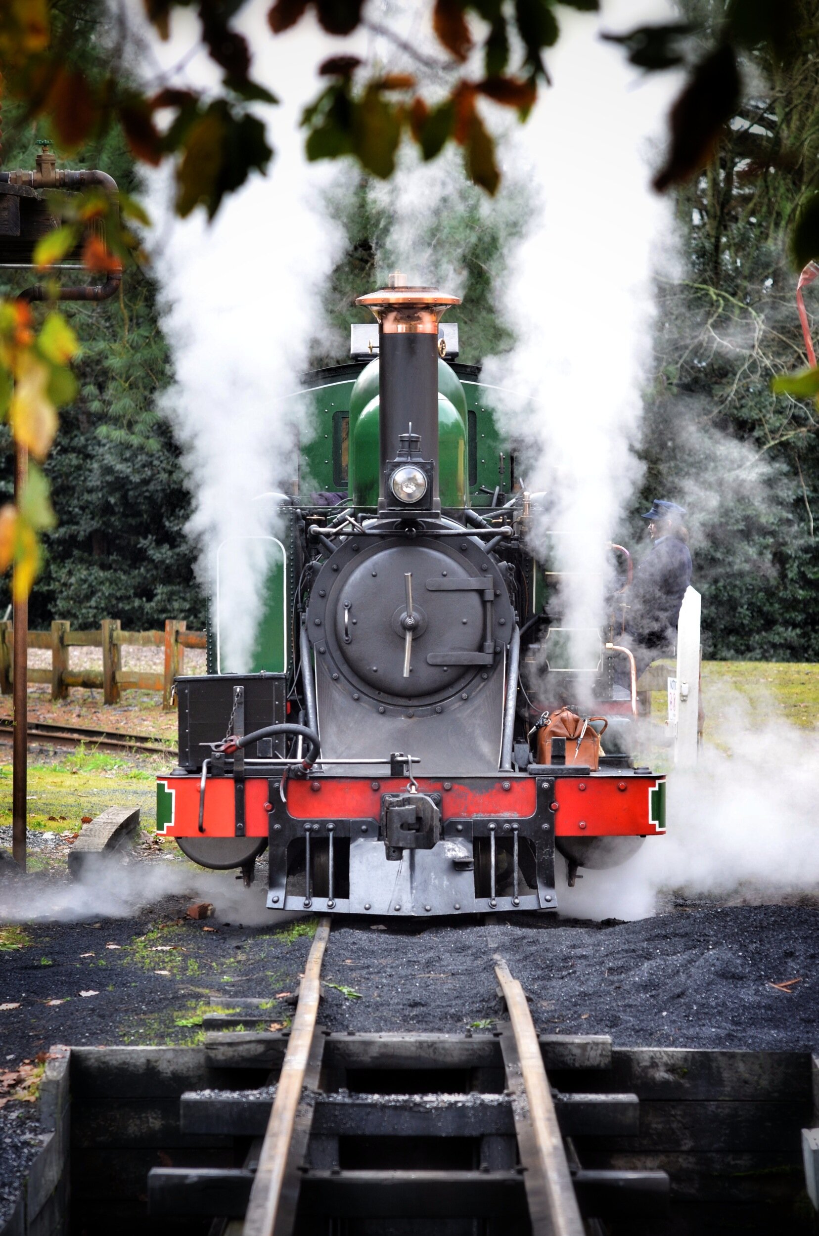 Puffing Billy Steam Train, Melbourne, Australia