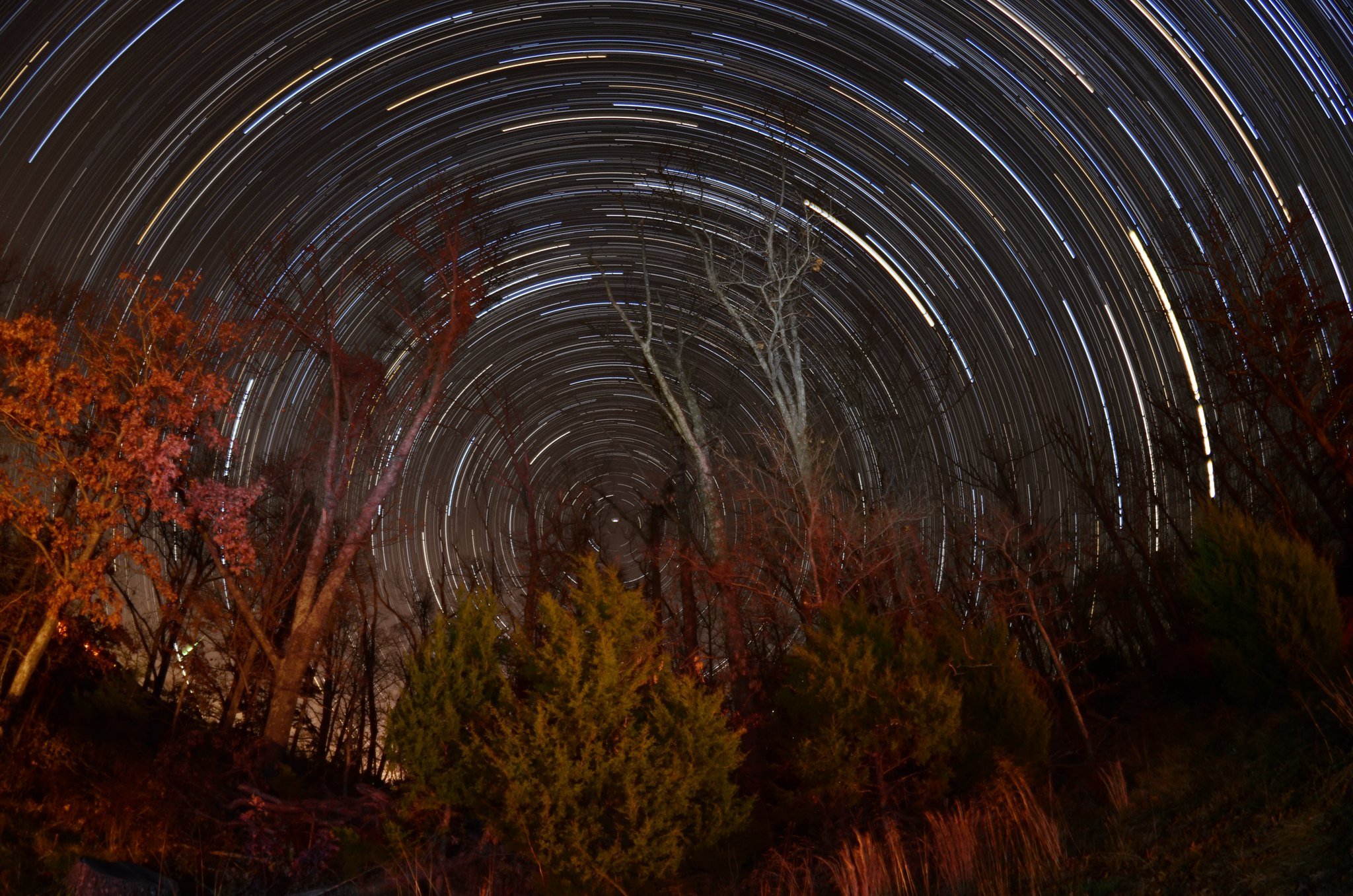 Star Trails over Rural Arkansas