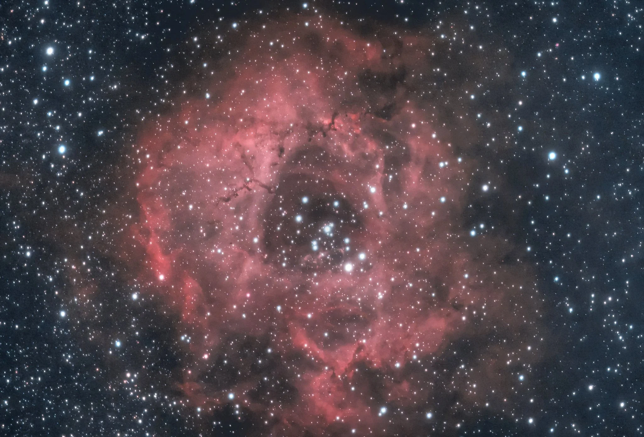 The Rosette Nebula