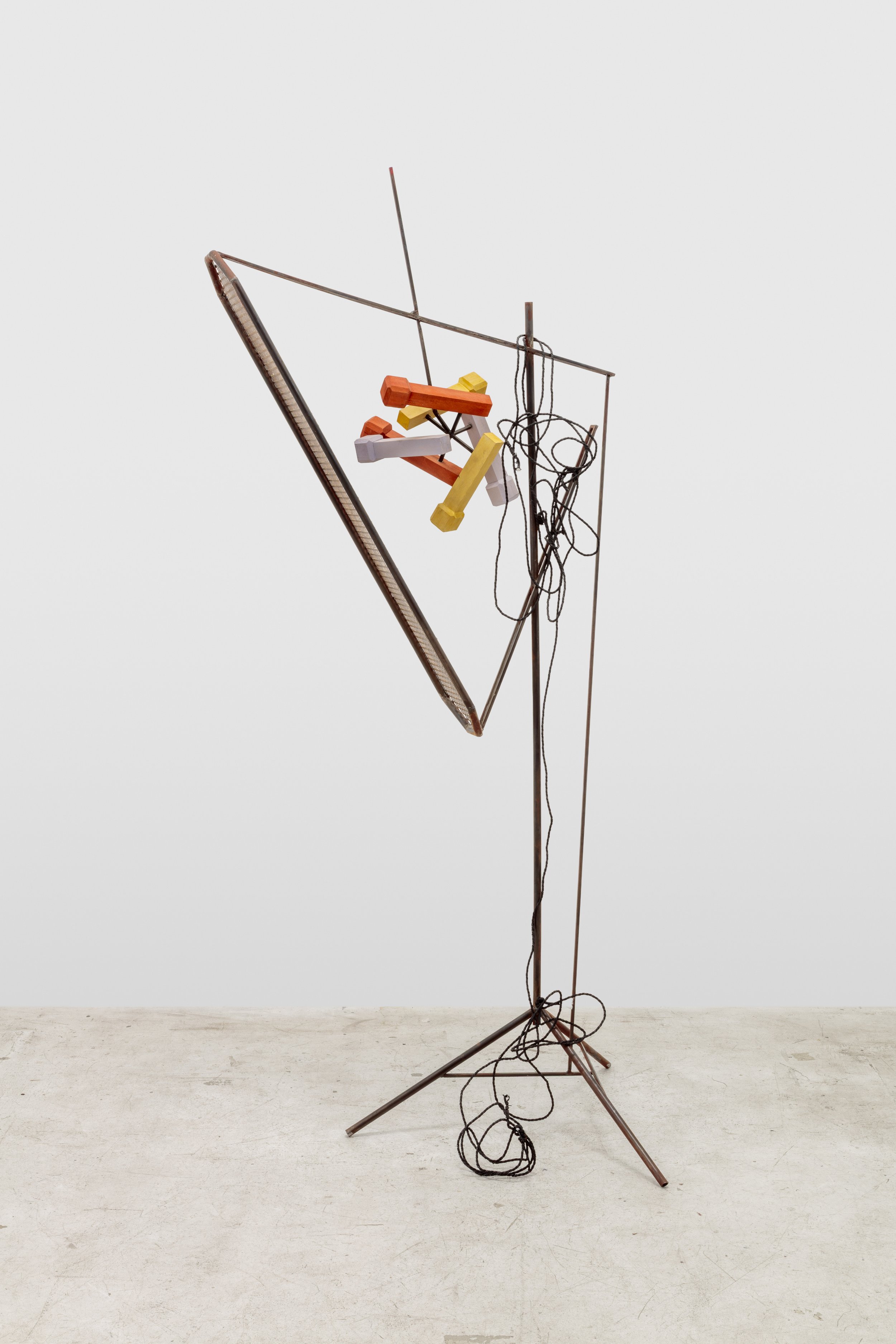 Micropones (L side).jpg