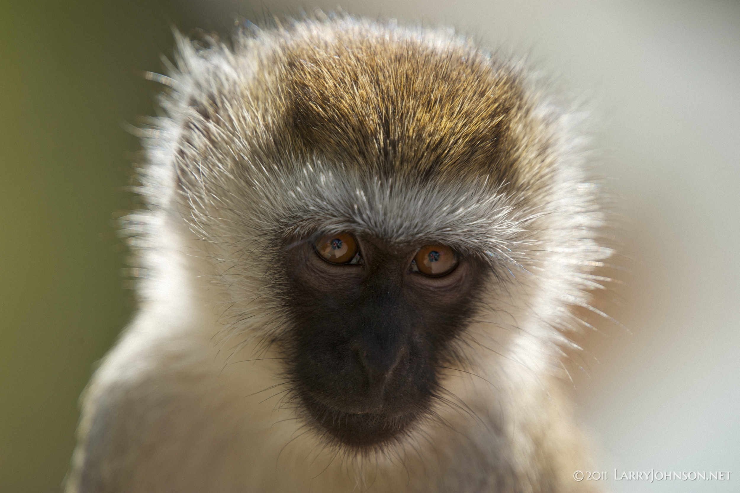 Africa 2011 109 of 441 DS3_2987.png