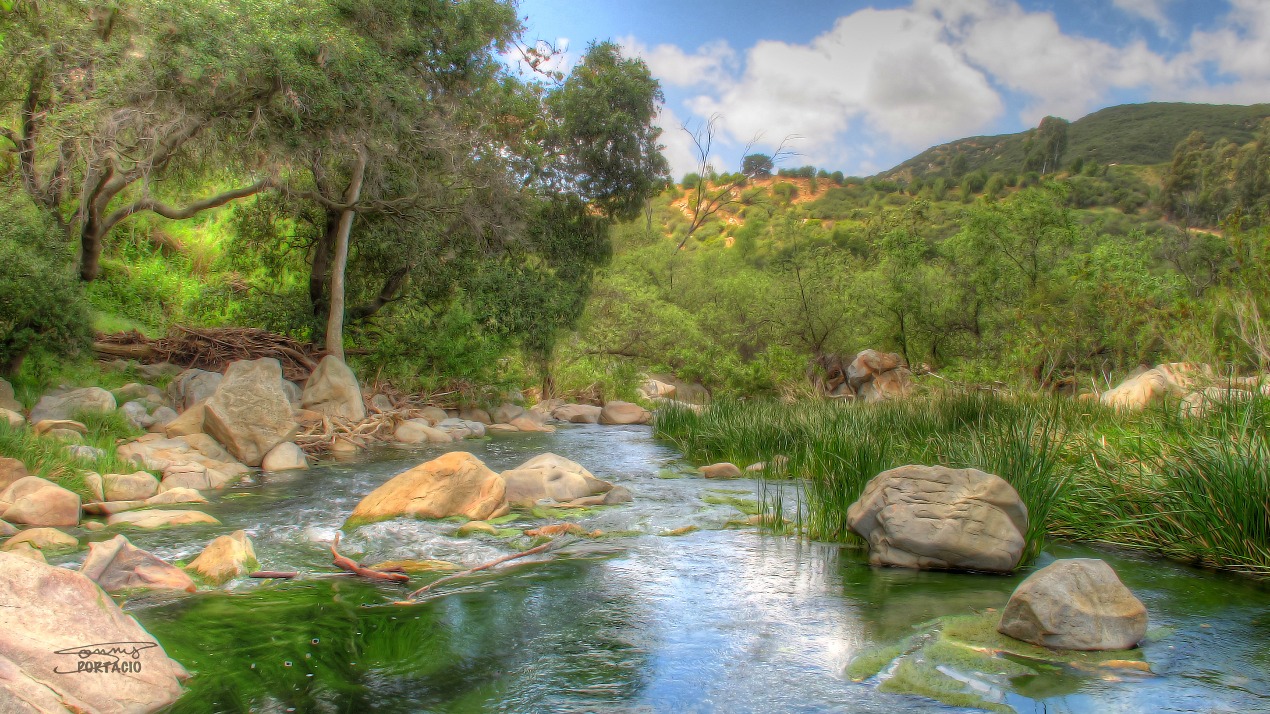 Elfin Forest