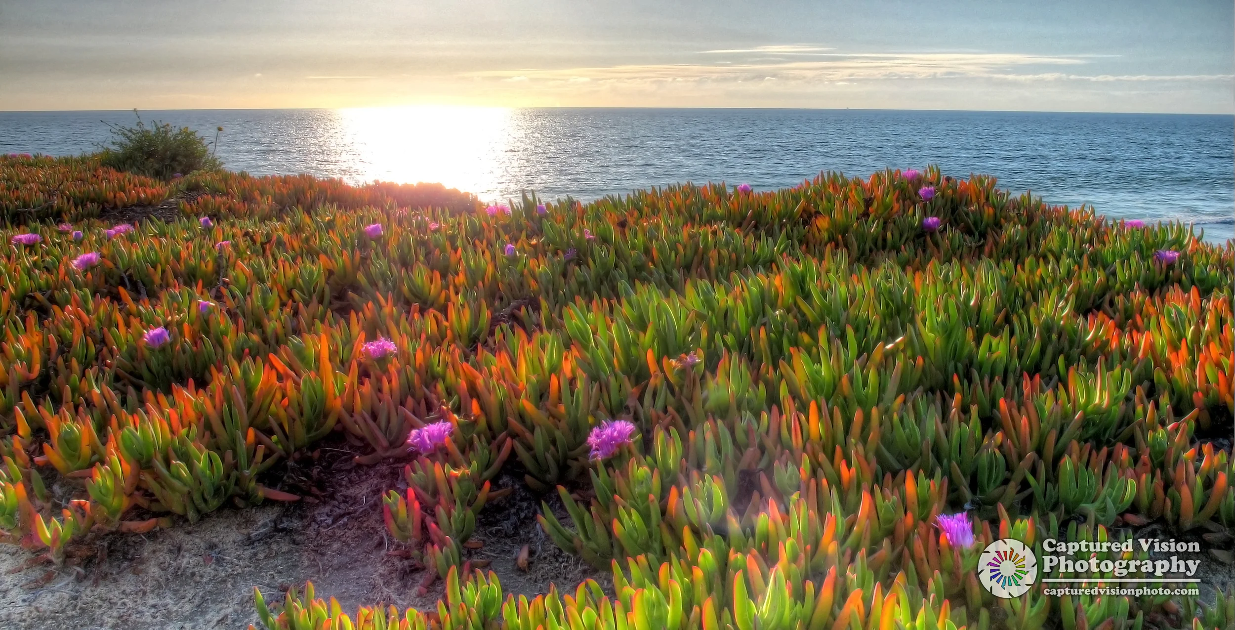 IMG_5681_2_3_tonemapped.jpg