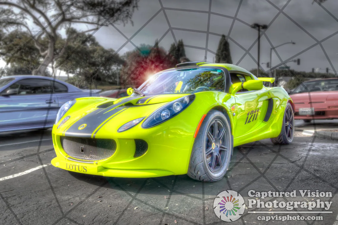 Lotus-sml.jpg