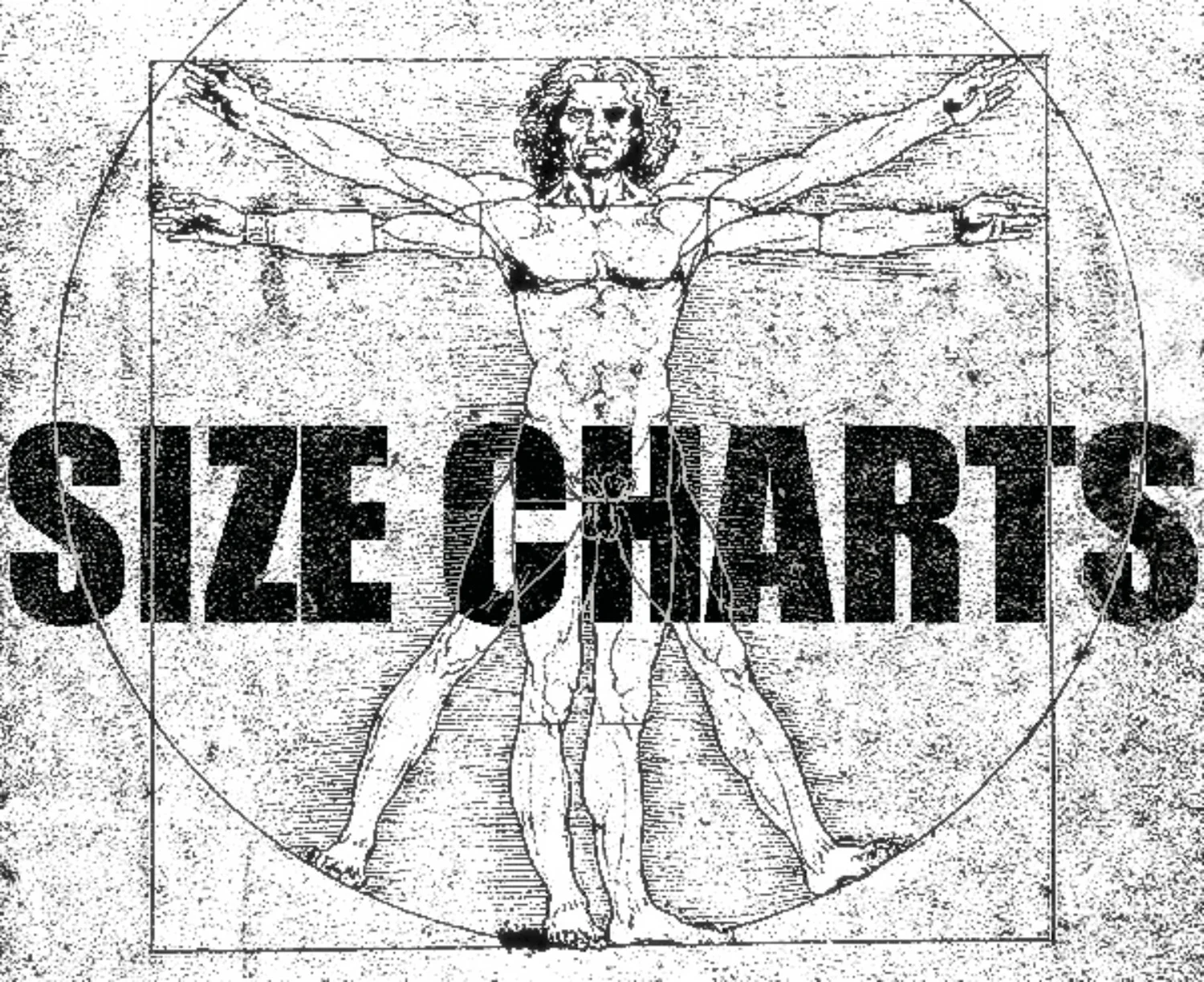 Eisiminger-DaVincis-Study-of-Human-Proportions-5.jpg