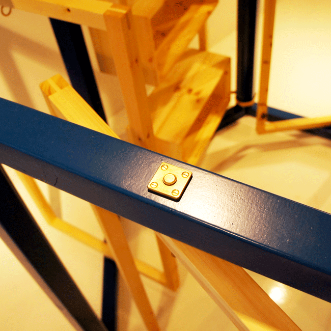 KOI-DISPLAY-detail.gif
