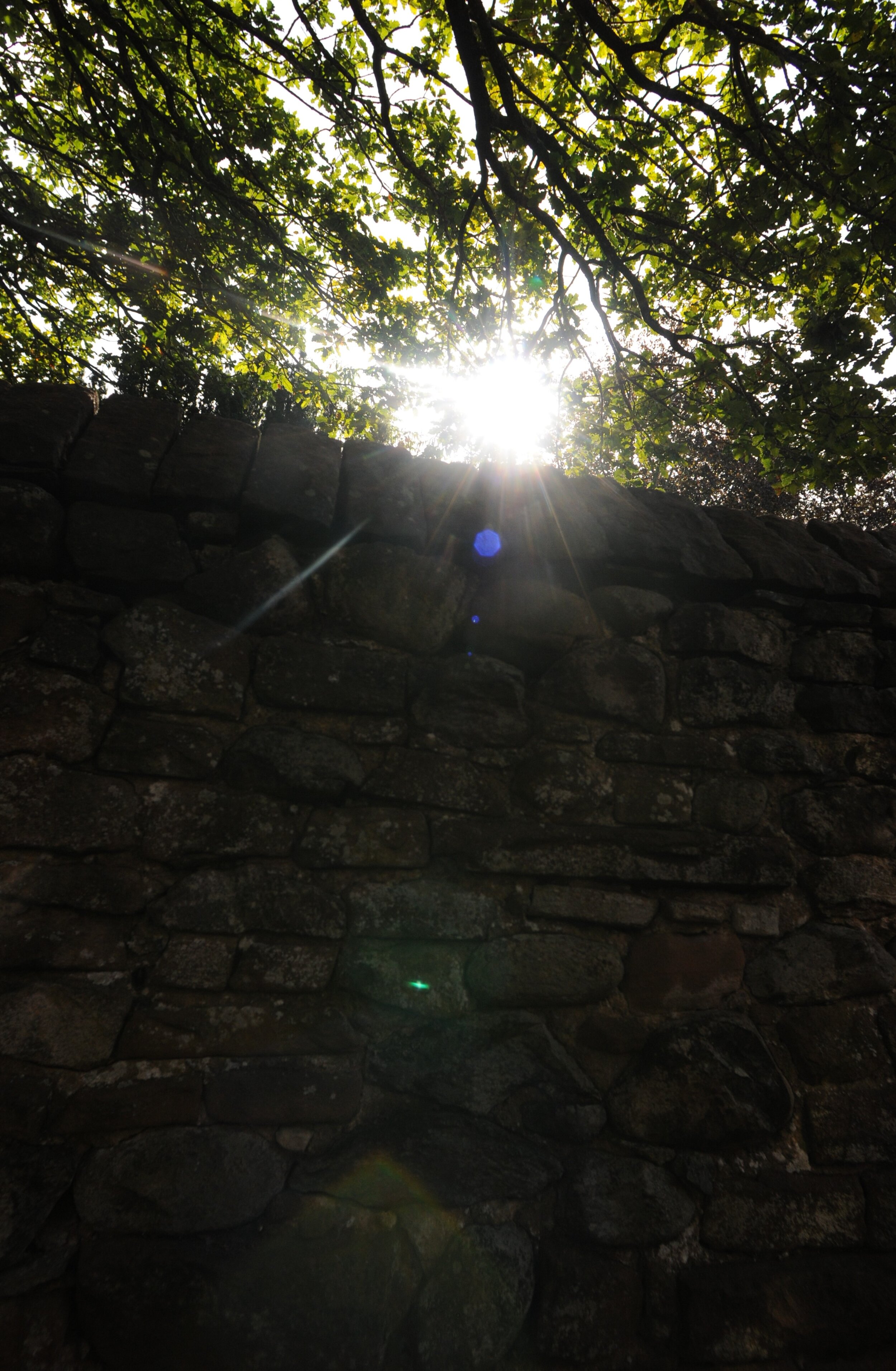 St Caths Scanning Image (26).jpg