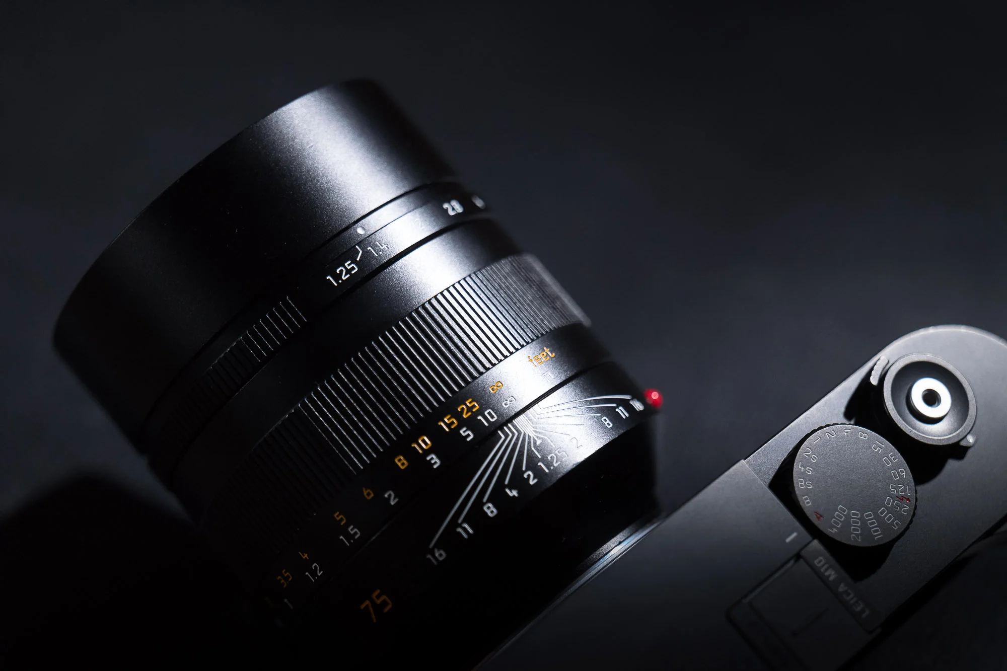 Noctilux-M 75/1.25 on M10