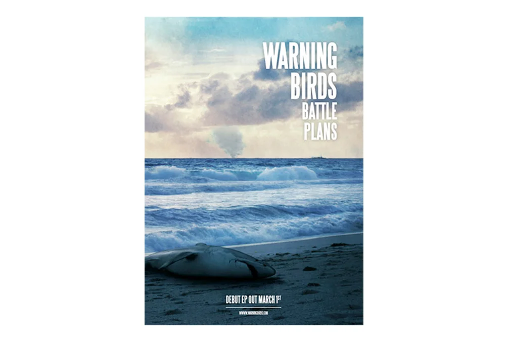 Warning Birds - Battle Plans