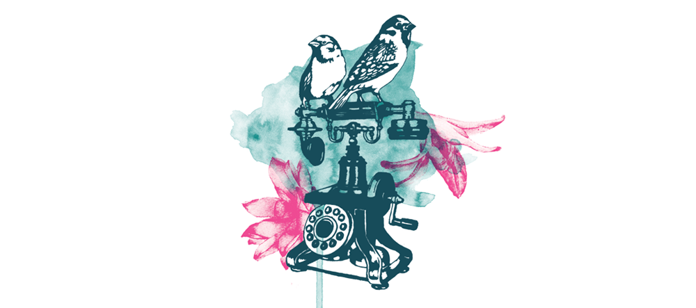 birdphone_web.png