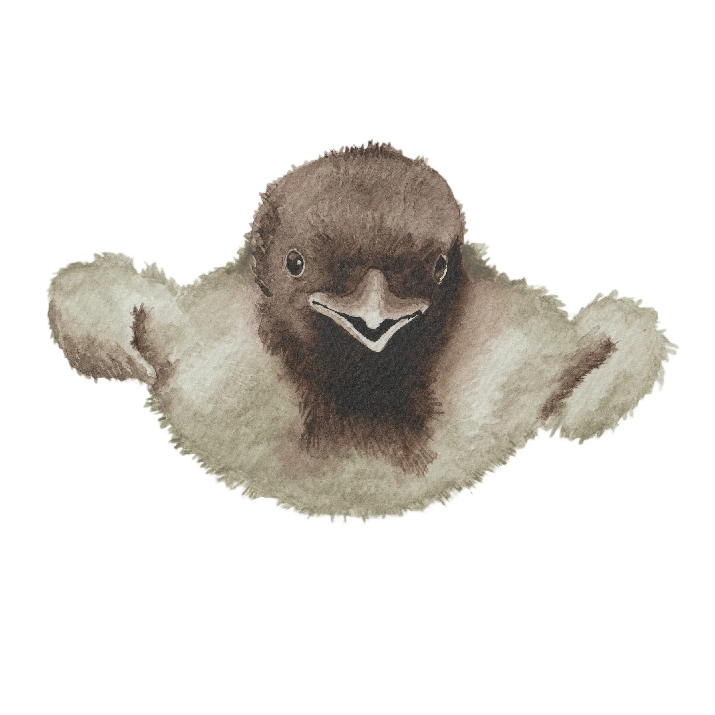 Painting of a baby crow