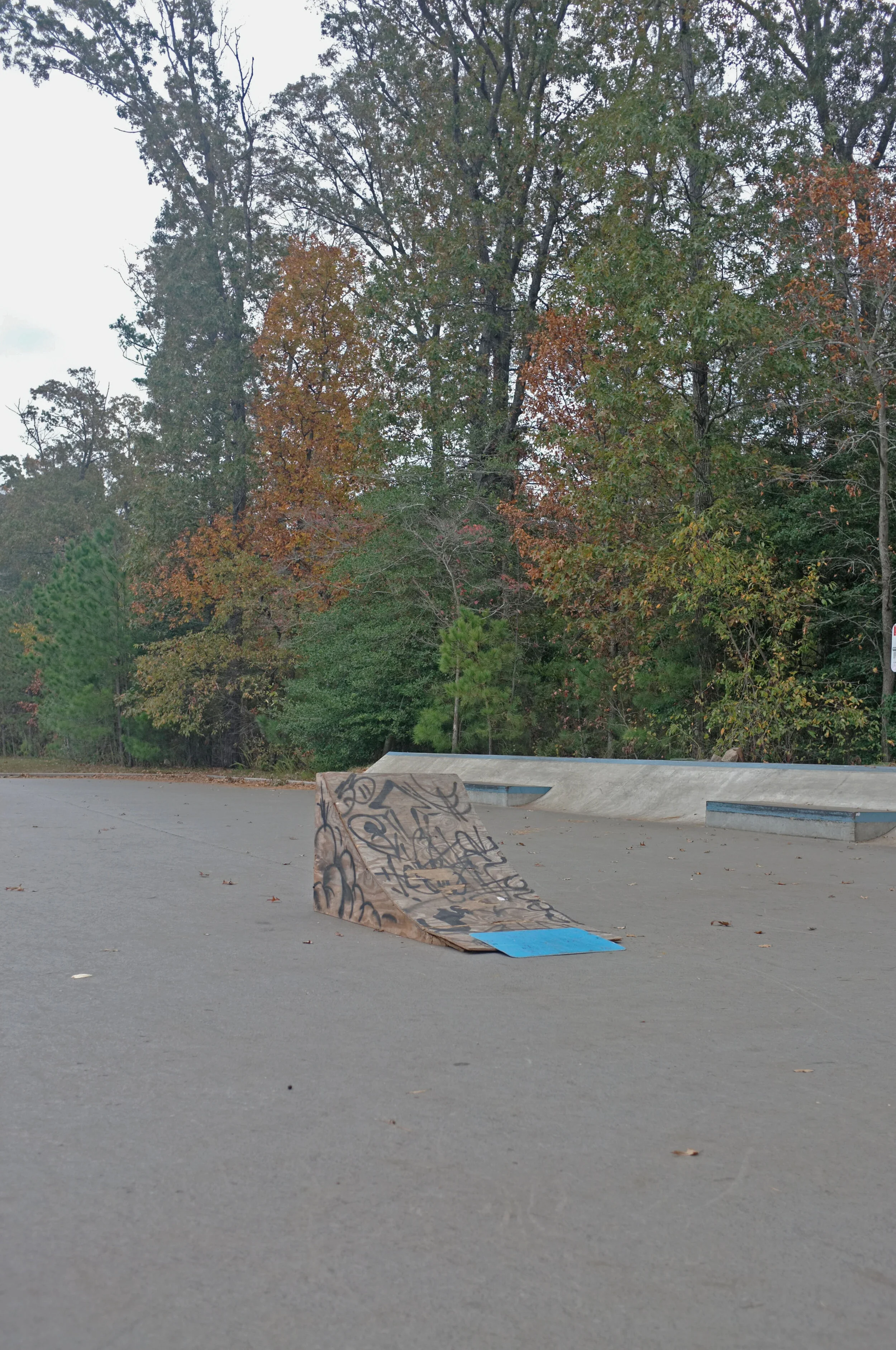 DSCF5312.JPG