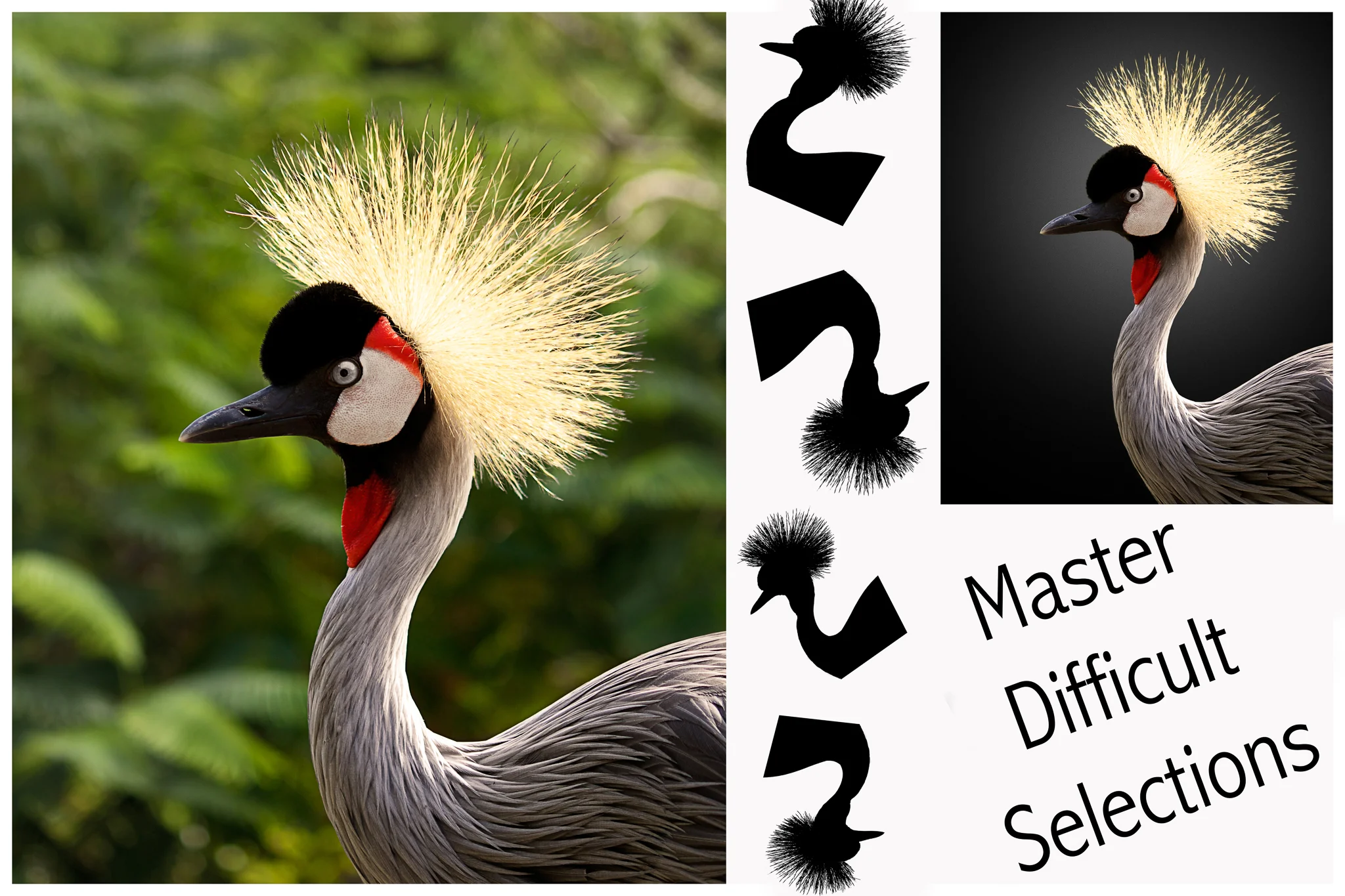 Photoshop Tuition and Lessons in Grimsby, difficult selections