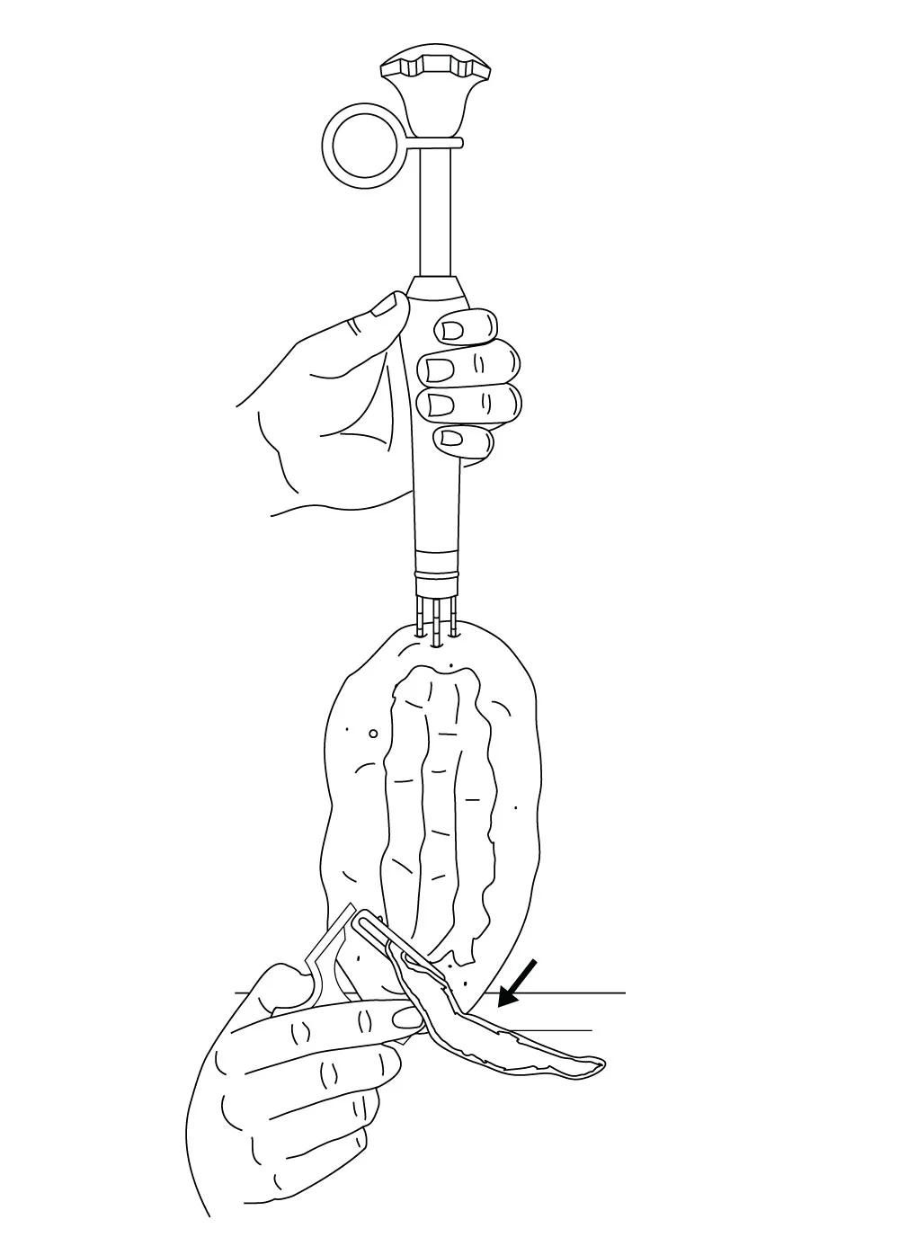 potato-and-peel.jpg