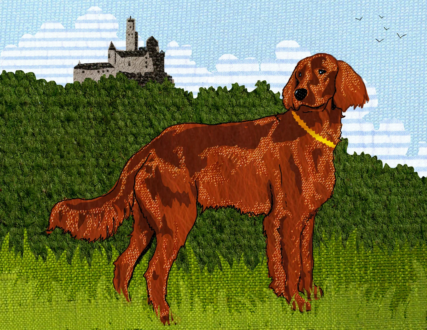 irish+setter.jpg