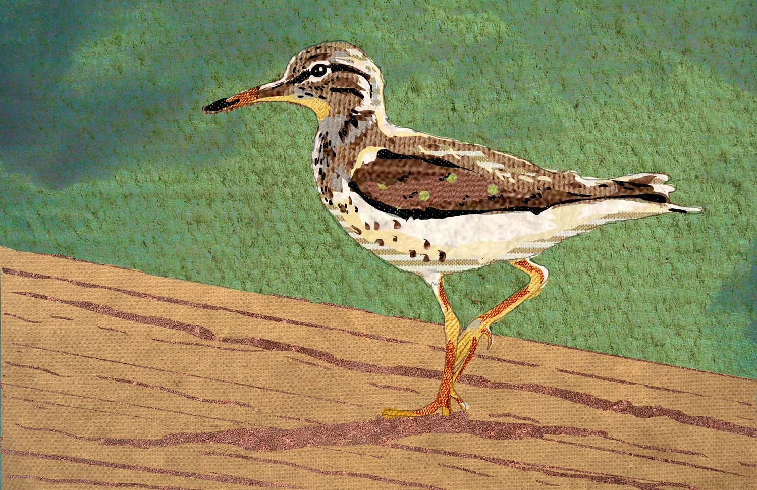 sandpiper1.jpg
