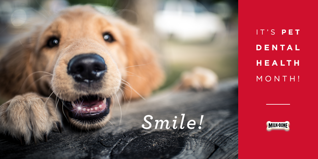 smile-tw.png