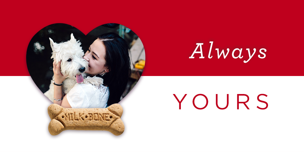 valentines-twitter2.png