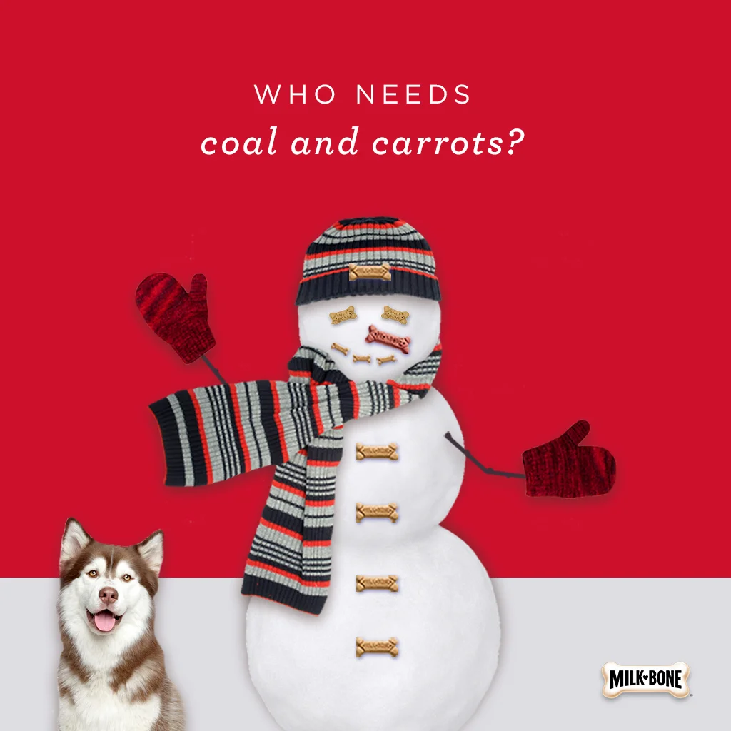 snowman-final2.jpg