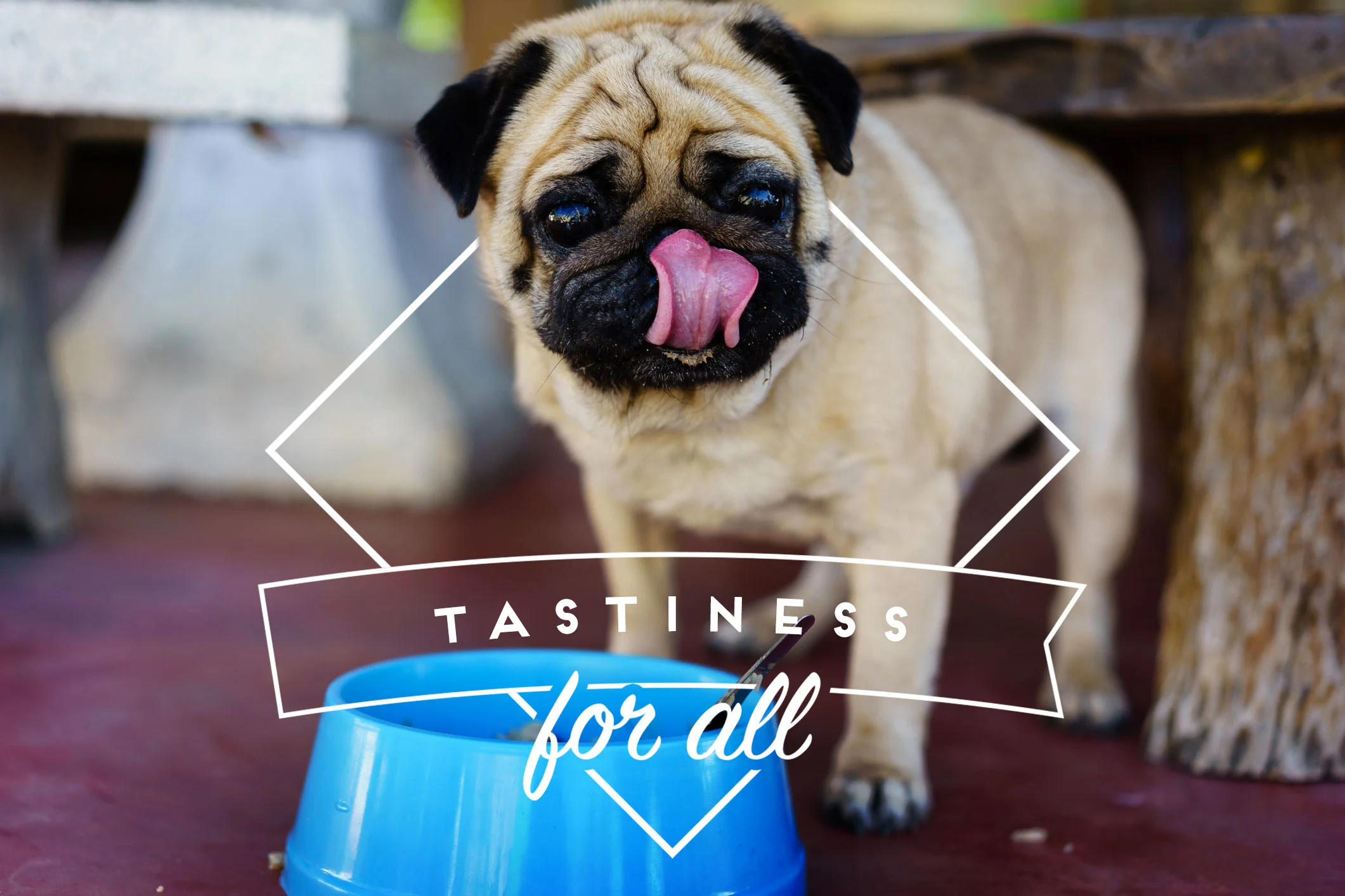 Tasty_for_all.jpg