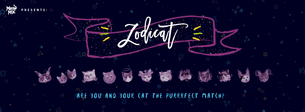 zodicat-header.png