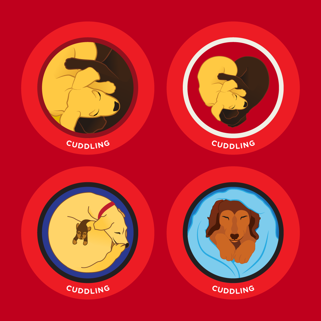 badges-cuddlers.png