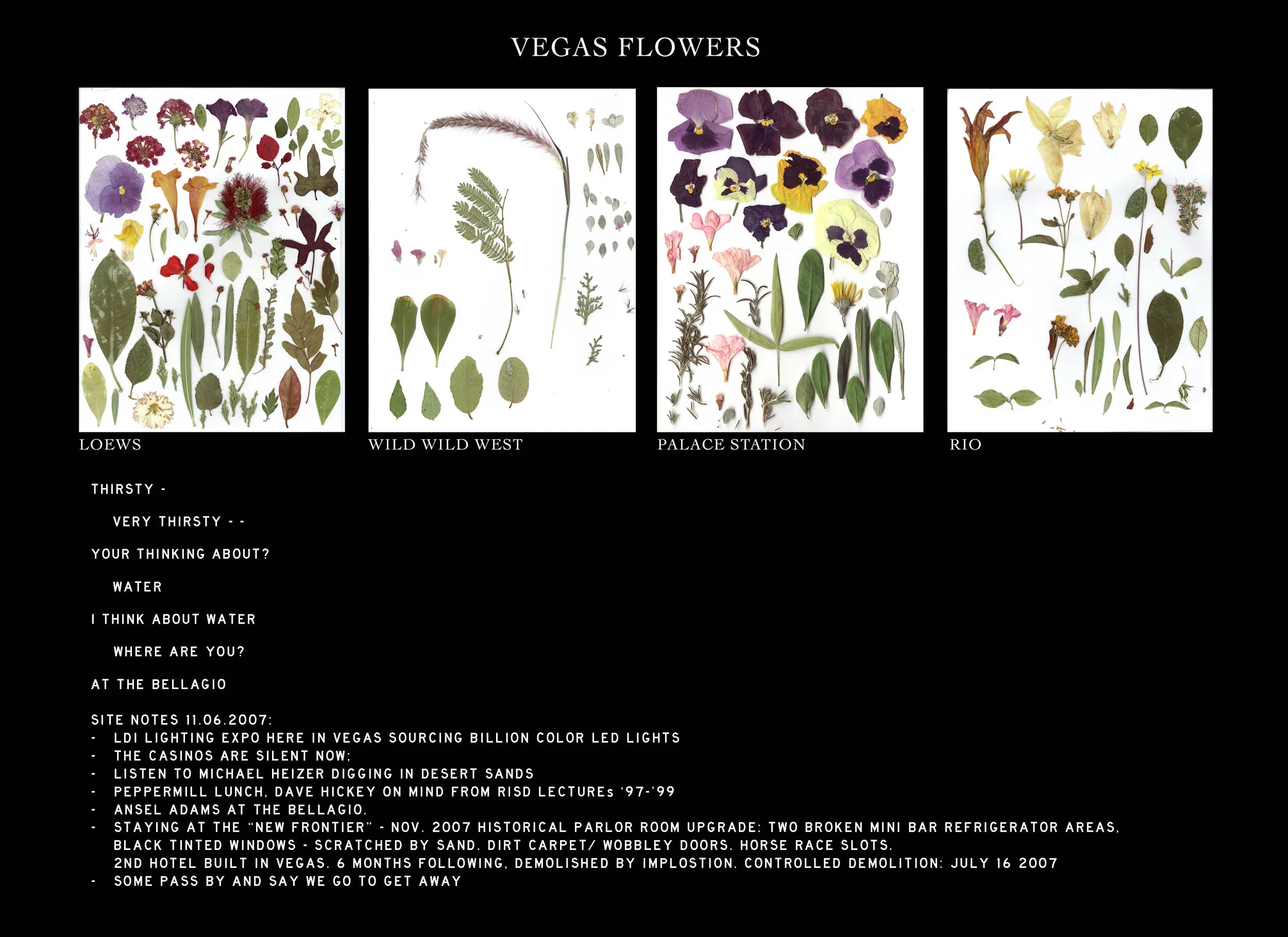 LV FLOWERS.jpg