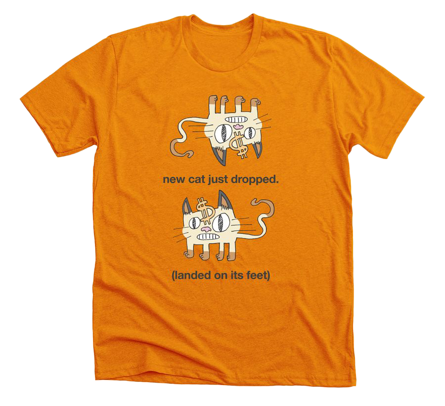 new cat orange white bg.png