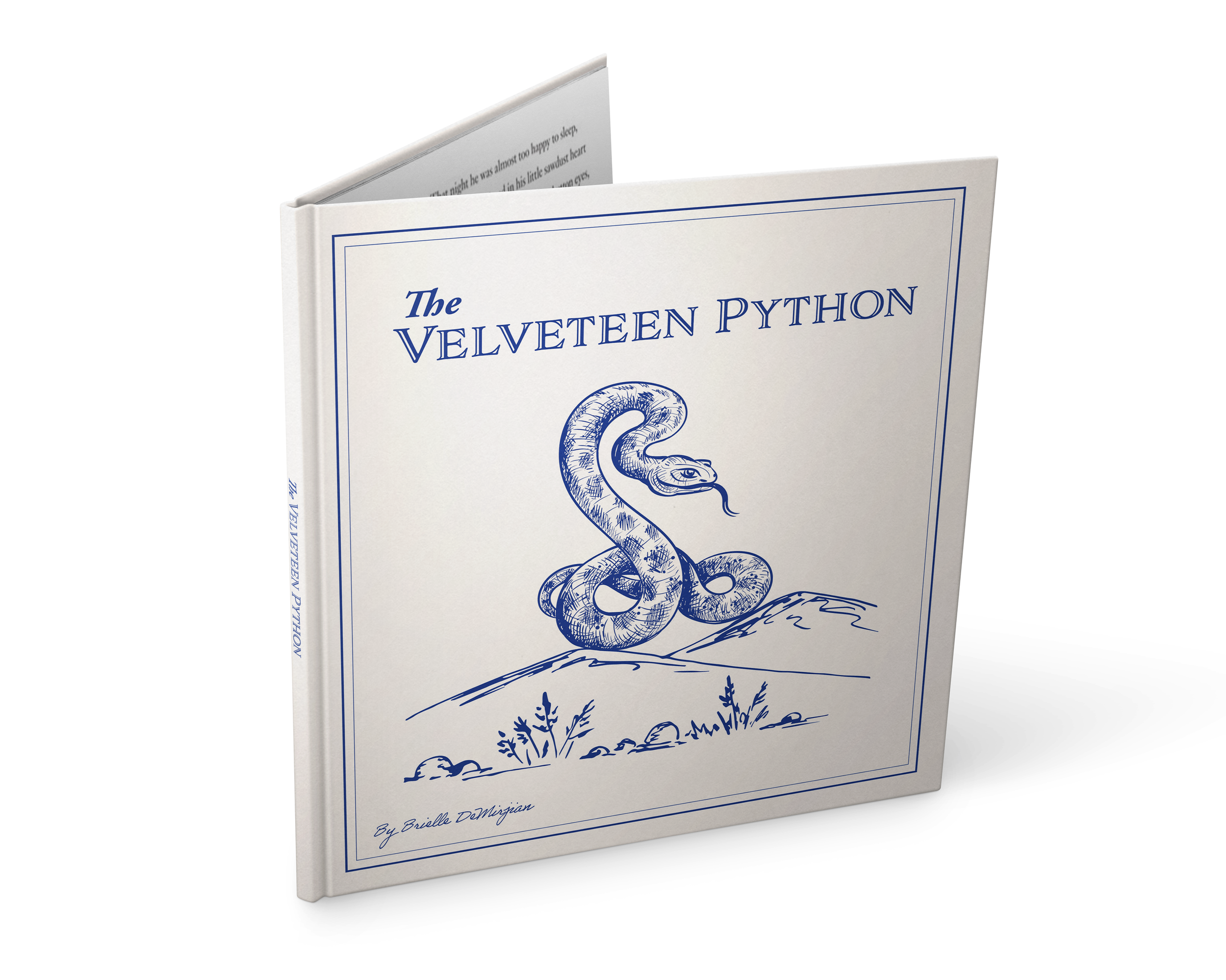 VelveteenPython_Book_MockUp.png