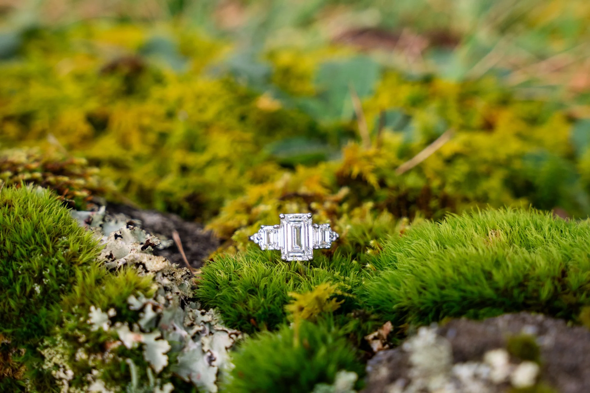 Highlands-Proposal-Photographer-Molly-Harris-14.jpg
