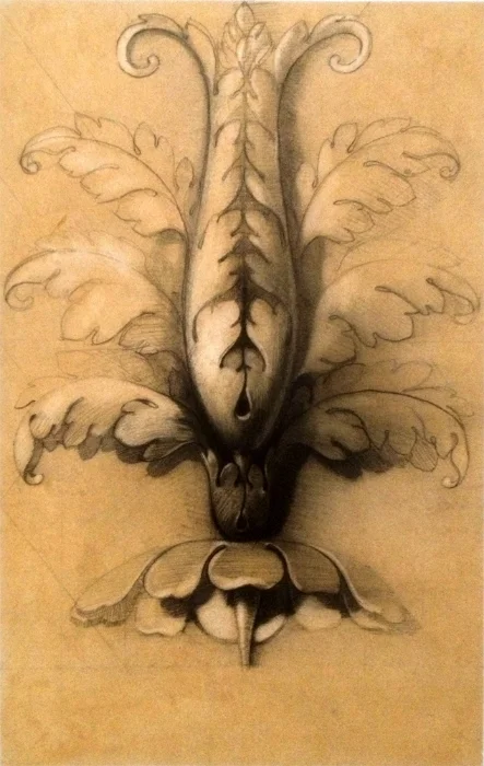 Botanical Ornament for Architecture ©jameslangley