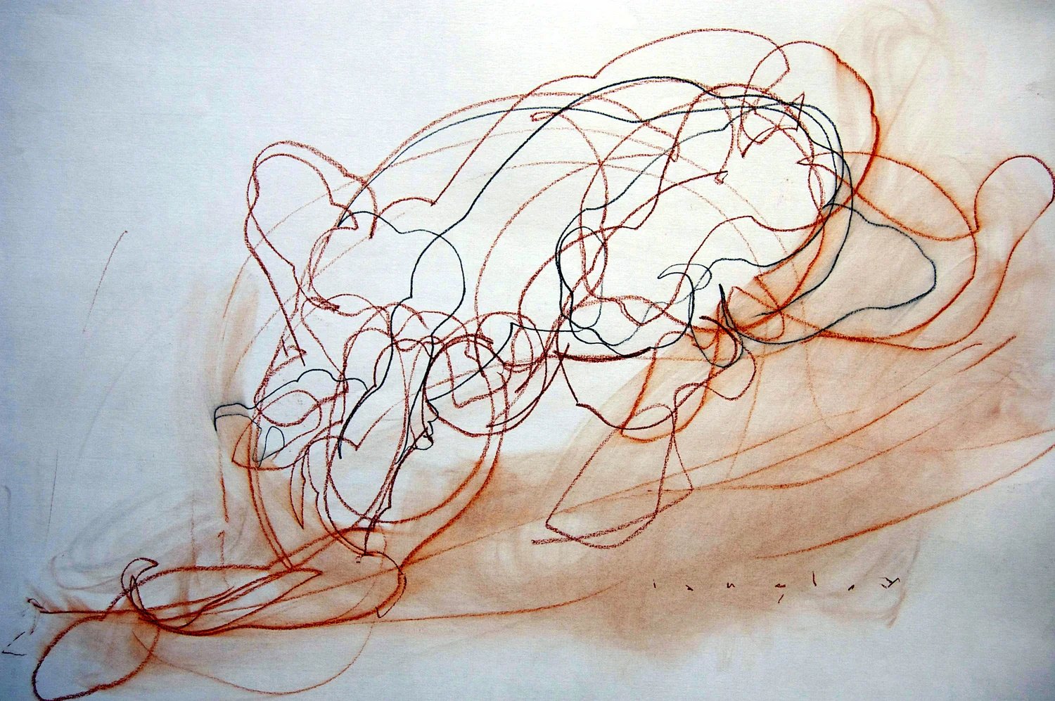 crawl / linear studies variation with continuous contour, red and black chalk, 18x24, 2010 collection of the artist. James Langley © 